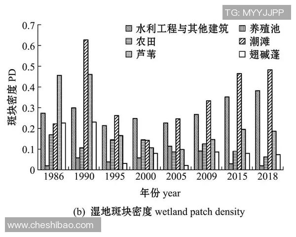 足球明星财富变迁与资产排名的历史演进分析 足球明星财富变迁与资产排名的历史演进分析